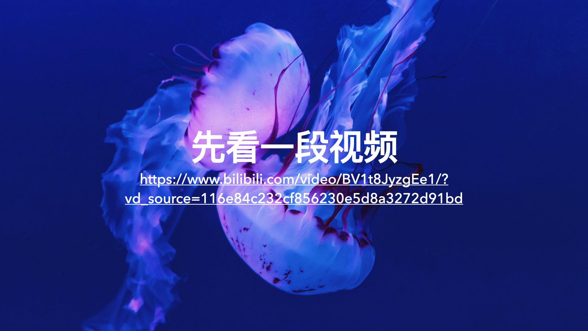 先看一段视频